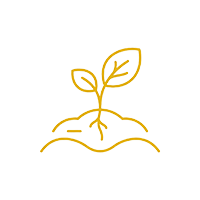 Planting